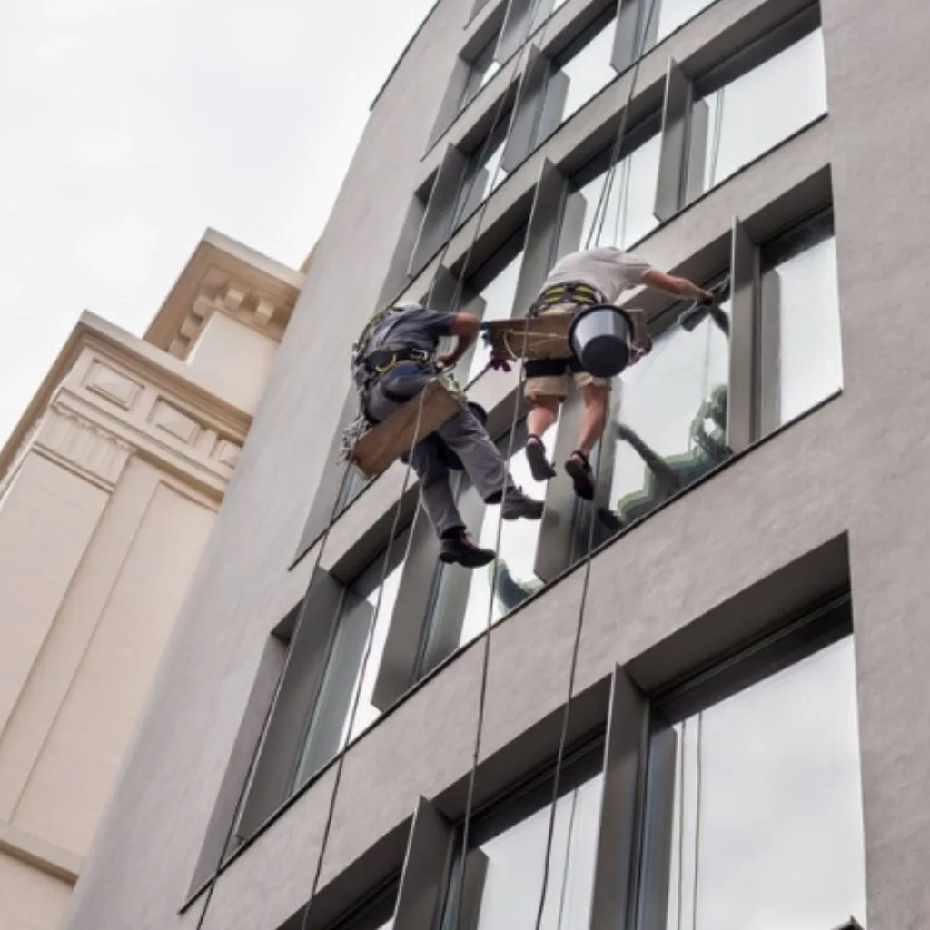 renevation window cleaning gold coast