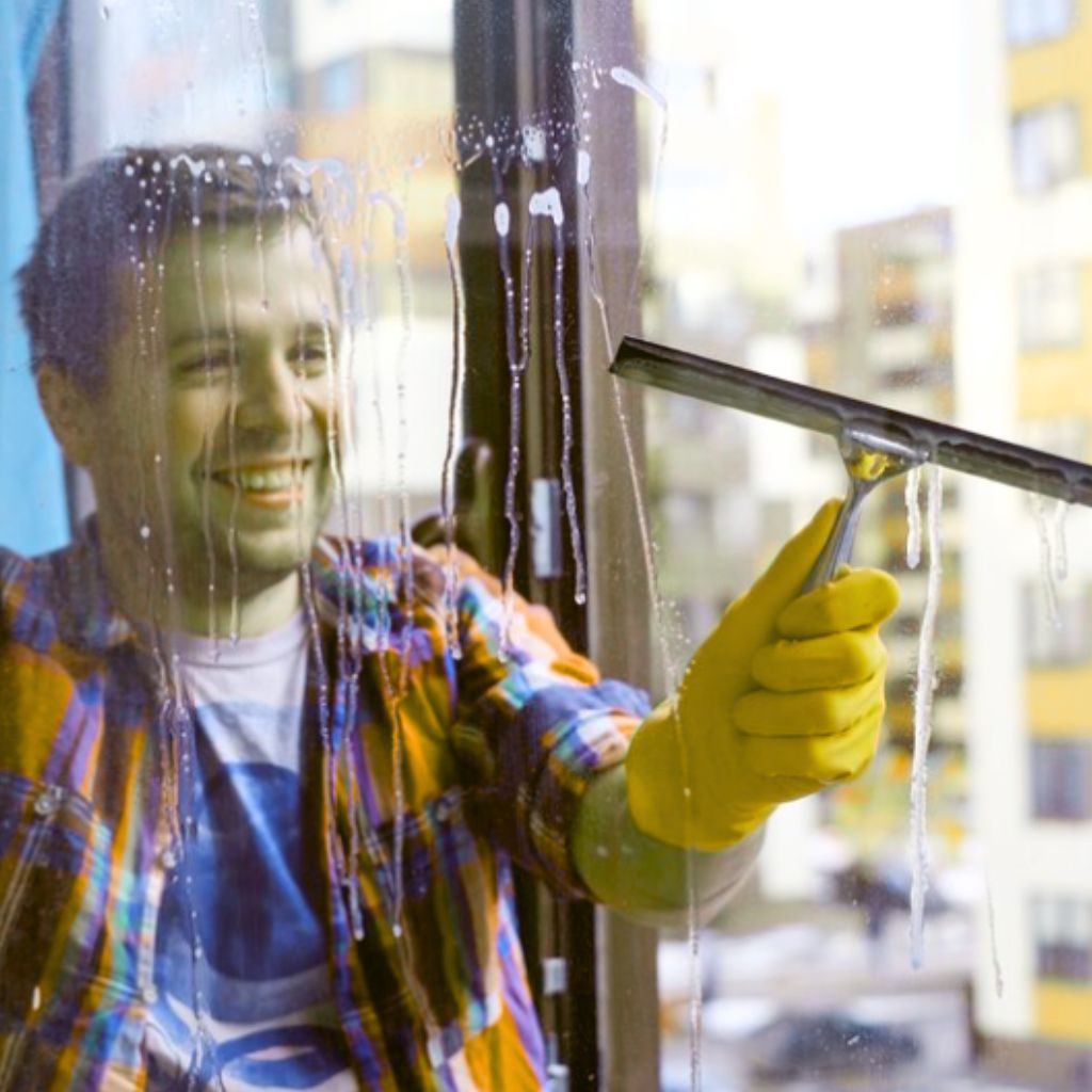 domestic window cleaners